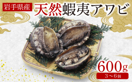 蝦夷あわび 約600g 冷凍 鮑 あわび アワビ 鮑 Abalone ステーキ 刺し身 刺身 バーベキュー  バターソテー 正月 お正月 おせち  BBQ ごはん 夕飯 おかず おつまみ 晩酌 米 丼 海産物 海鮮 魚介 魚介類 贈答品 お中元 お歳暮 大船渡 三陸 岩手県 国産