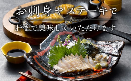 蝦夷あわび 約600g 冷凍 鮑 あわび アワビ 鮑 Abalone ステーキ 刺し身 刺身 バーベキュー  バターソテー 正月 お正月 おせち  BBQ ごはん 夕飯 おかず おつまみ 晩酌 米 丼 海産物 海鮮 魚介 魚介類 贈答品 お中元 お歳暮 大船渡 三陸 岩手県 国産