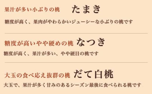 旬の白桃 約3kg 6～13玉 ［小布施屋］ 長野県産 白桃 もも モモ フルーツ 果物 長野県産 信州産 クール便 冷蔵便 たまき なつき あかつき 川中島白鳳 川中島白桃など 令和7年産 【2025年7月上旬～9月中旬発送】 ［H-100］