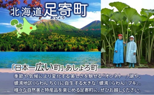 十勝足寄産 いちごジャム4種 各140g 計4本 スウィーティーアマン 天使のいちご いちごジャム いちごバタージャム 赤 白 北海道産バター使用 瓶詰 トースト クッキー ヨーグルト 甘い 爽やかな香り 2品種 北海道 足寄町