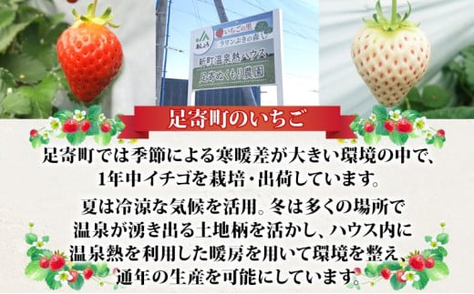 十勝足寄産 いちごジャム4種 各140g 計4本 スウィーティーアマン 天使のいちご いちごジャム いちごバタージャム 赤 白 北海道産バター使用 瓶詰 トースト クッキー ヨーグルト 甘い 爽やかな香り 2品種 北海道 足寄町