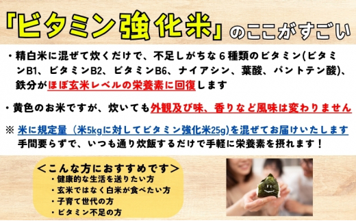 ★栄養も美味しさも欲ばる人へ★銀河のしずく《特A 6年連続獲得中!》＆ひとめぼれ食べ比べセット【5分づき精米・ビタミン強化米入り】 5kg×2 令和6年産 盛岡市産 ◆発送当日精米・1等米のみを使用したお米マイスター監修の米◆