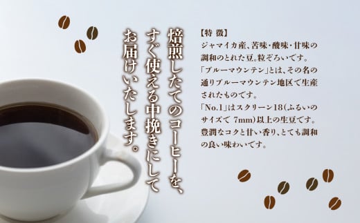 C06 コーヒーギフト （ブルーマウンテン）200g中挽き・ギフト袋入り | 珈琲 コーヒー ブルー マウンテン 豆 粉 こな 中挽き ブレンド ぶれんど ギフト ぎふと 贈り物 奈良県 御杖村