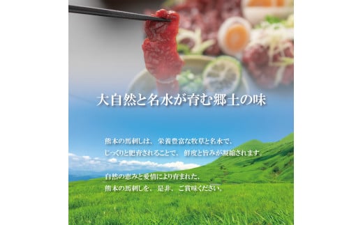 【定期便6回】くまもと 国産 赤身馬刺し 約400g | 肉 にく お肉 おにく 馬 馬肉 馬刺し 馬刺 赤身 タレ 定期 定期便 熊本県 玉名市