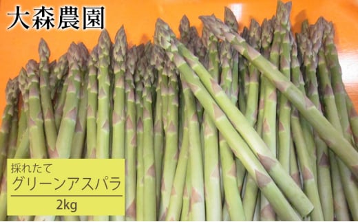 北海道 仁木町産 グリーンアスパラ 2kg 【大森農園】アスパラ 野菜 新鮮