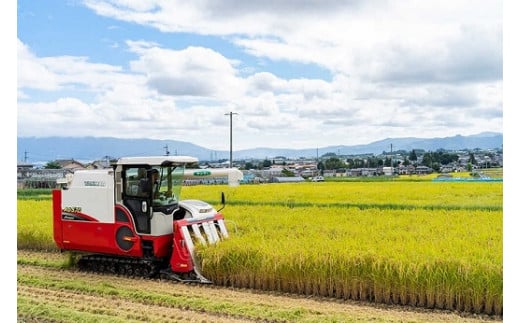 1411【3か月連続お届け】長野県産米コシヒカリ 10kg