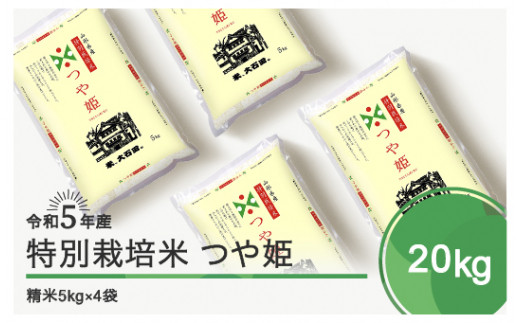 令和6年6月上旬発送 つや姫20㎏ 精米  令和5年産