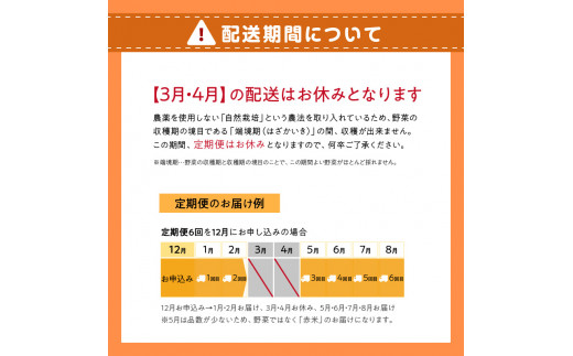 ＜京都産野菜定期便6回＞自然体な野菜セット 旬の野菜 野菜詰合せ 野菜セット 野菜定期便 6回 自然農園 自然栽培 安心 安全 健康 マクロビ ベジタリアン 定期便 京野菜 京都 木津川 【086-02-T02】