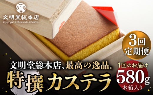 カステラ 長崎 ギフト スイーツ 熨斗 人気 お菓子 和菓子 送料無料 常温 かすてら ざらめ ザラメ 文明堂 定期 定期便