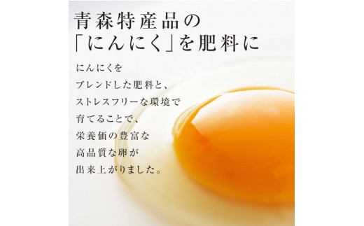 青森県産 にんにく卵 50個 （割れ保障10個付） 【修清】 たまご タマゴ 玉子 エッグ にんにく 栄養 濃厚 甘み 卵かけご飯 特産品 地元 中泊町 青森 F6N-079