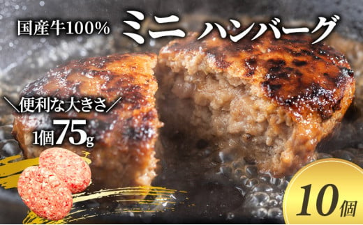 【牛壱】国産牛100％ ミニハンバーグ 75g×10個