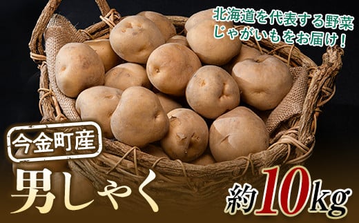 北海道今金町産男爵いも 約10kg 【10月下旬以降順次出荷】 北海道産 じゃがいも ジャガイモ だんしゃく 野菜 ほくほく しっとり 常備野菜 F21W-335 クラウドファンディング 実施中 GCF