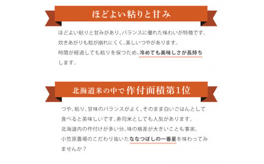 300004002【令和6年度産】北海道 厚田産米 小笠原農場 ななつぼし 10kg