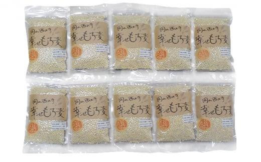 令和6年産 岡山西大寺の幸せもち麦（キラリモチ）数量限定 2kg（200g×10） 