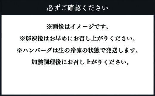 【ふるさと納税】肥後の 赤牛 ハンバーグ 150g×10個 熊本 美里町 くまもとあかうし あか牛