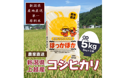 【数量限定】令和5年産　新潟県上越市浦川原産　極上の雪国米 コシヒカリ 5kg（5kg×1） 精米 こしひかり