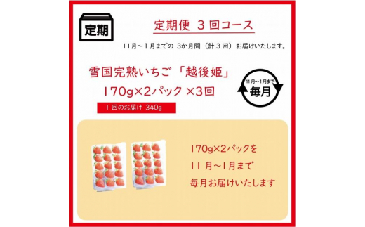 定期便 3回【11～1月発送】いちごの定期配送 雪国完熟いちご越後姫170g×2全3回 越後姫 いちご 定期便 完熟