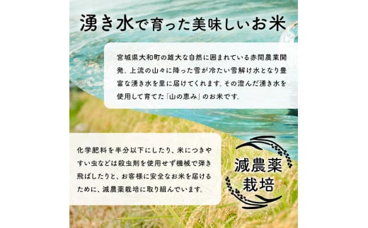 ひとめぼれ キューブ米 3.6kg 小分け お米 おこめ 米 コメ 白米 ご飯 ごはん おにぎり お弁当 使い切り【赤間農業開発株式会社】ta309