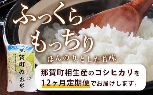 【定期便12回】那賀町のお米 コシヒカリ10kg［徳島 那賀 国産 お米 こめ おこめ 米 10kg 10キロ 精米 ご飯 ごはん 白米 はくまい 白ごはん 白ご飯 和食 おにぎり お弁当 こしひかり コシヒカリ 父の日 お中元 お歳暮 ギフト プレゼント 送料無料］【YS-17】