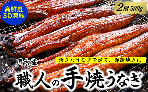 職人の手焼き　活〆うなぎ蒲焼　2尾入り(計500g)　国産【1423346】