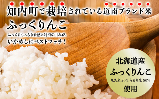 IKAｰMESHI 2個入5袋 いかめし イカ もち米 北海道 ご飯 ふっくりんこ 常温 おかず 惣菜 いか