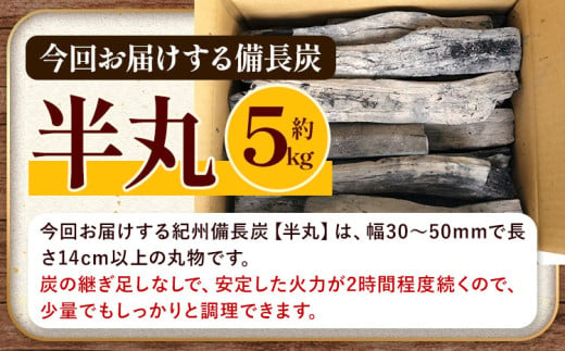 紀州備長炭 半丸 約5kg 望商店 《30日以内に出荷予定(土日祝除く)》 和歌山県 日高川町 備長炭 紀州備長炭 炭 約5kg 高級白炭 BBQ 焼肉 炭火焼き キャンプ レジャー 囲炉裏 国産 備長炭 川遊び ロッジ 行楽 安全 安心 火起こし 大活躍
