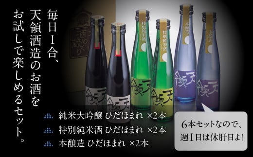 【年内順次発送】毎日1合お試し6本セット（180ml×6本）純米吟醸 特別純米酒 本醸造 お酒 酒 日本酒 下呂市 天領 天領酒造 飲み比べ 年内配送 年内発送 年内に届く