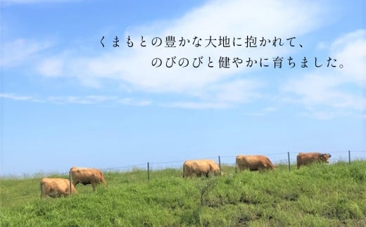 肥後の赤牛　すき焼き用 500g | 熊本県 熊本 くまもと 和水町 なごみまち なごみ 牛肉 肉 あか牛 赤牛 肥後 冷凍 すき焼き 500g