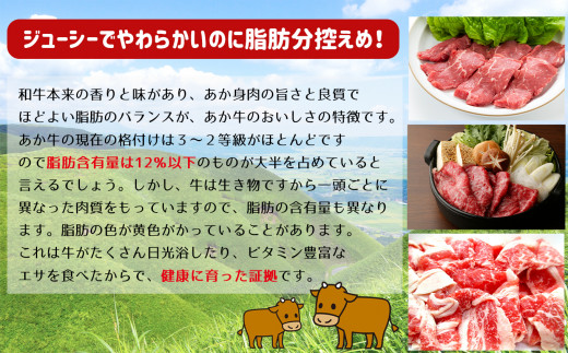 肥後の赤牛　すき焼き用 500g | 熊本県 熊本 くまもと 和水町 なごみまち なごみ 牛肉 肉 あか牛 赤牛 肥後 冷凍 すき焼き 500g