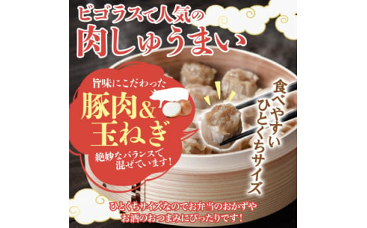 十勝 肉しゅうまい 18個入り 5パック ひとくちサイズ 北海道 大樹町【1530875】