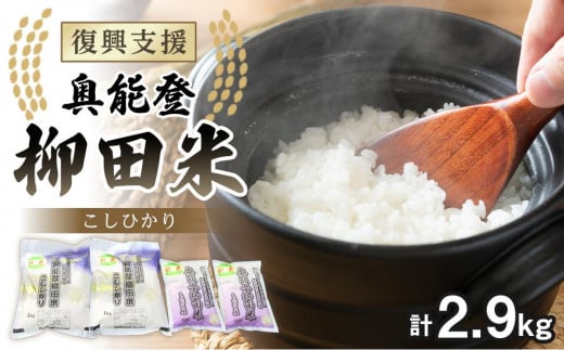 【復興支援】【令和6年度産】奥能登柳田米F （1kg×2、450g×2）合計2.9kg