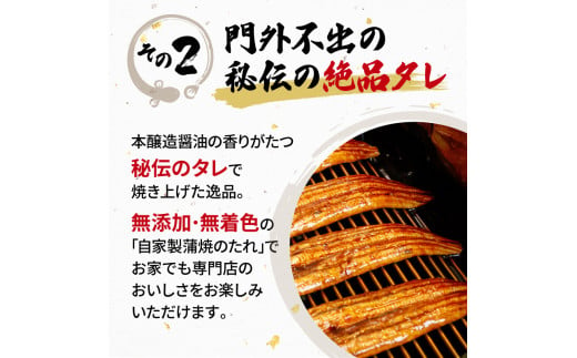 定期便 全3回 うなぎ 国産 蒲焼 160g × 2尾 計320g 鰻蒲焼 ウナギ 土用 丑の日 JAS認定 活鰻 自家製蒲焼のたれ 山椒 ギフト 贈答 冷凍 養殖 海鮮 真空パック レンジ 調理 湯煎 まとめ買い 静岡県 藤枝  ふるさと人気