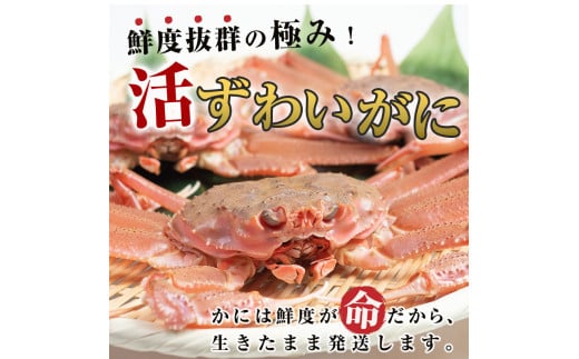 【訳あり】北海道噴火湾産 活オオズワイガニ1.5kg ＜道産ネットミツハシ＞ かに カニ 蟹 ガニ がに 森町 ふるさと納税 北海道 ずわいがに mr1-0601