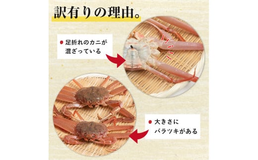 【訳あり】北海道噴火湾産 活オオズワイガニ1.5kg ＜道産ネットミツハシ＞ かに カニ 蟹 ガニ がに 森町 ふるさと納税 北海道 ずわいがに mr1-0601