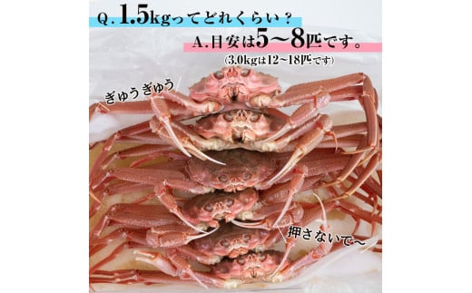 【訳あり】北海道噴火湾産 活オオズワイガニ1.5kg ＜道産ネットミツハシ＞ かに カニ 蟹 ガニ がに 森町 ふるさと納税 北海道 ずわいがに mr1-0601