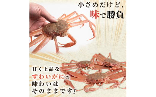 【訳あり】北海道噴火湾産 活オオズワイガニ1.5kg ＜道産ネットミツハシ＞ かに カニ 蟹 ガニ がに 森町 ふるさと納税 北海道 ずわいがに mr1-0601