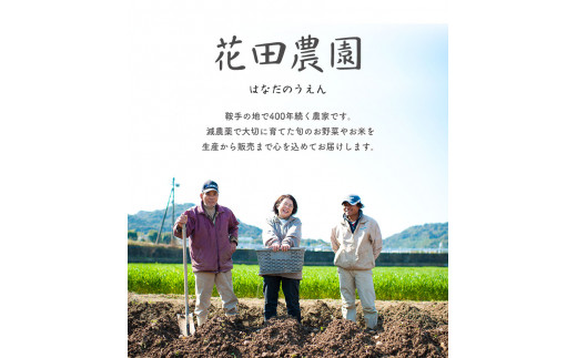 冷凍野菜スープ（8個セット）花田農園　トマト ブロッコリー かぼちゃ《30日以内に出荷予定(土日祝除く)》