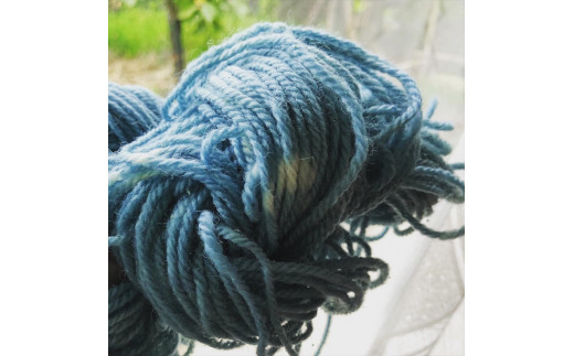 大野山の山麓でリモート藍染体験　布500gコース【 体験 チケット 神奈川県 山北町 】