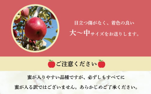 [5657-3418]葉とらず完熟サンふじ特秀品 約5kg (約11～18玉) 《市川ファーム》■2024年発送■※11月中旬頃～12月下旬頃まで順次発送予定