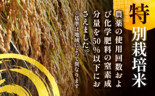 【2月発送】愛知県産にこまる 白米10kg 特別栽培米 ご飯 精米／戸典オペレーター [AECT017-2]