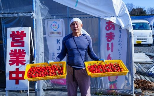 【期間限定】あまりん 大玉のみを厳選してお届け1パック約280ｇ（容器含む）8粒～9粒程度 2パックセット 計約560ｇ（容器含む） 土耕栽培いちご こだわりあまりん 完熟いちごならではの濃厚な味 いちごにベストな土耕栽培 濃厚な甘さが特徴 第1回全国いちご選手権で最高金賞品種 埼玉オリジナルの希少品種 栄養たっぷりの土で育てた完熟いちご 土耕栽培　 埼玉県 川島町 いちごファクトリー 　