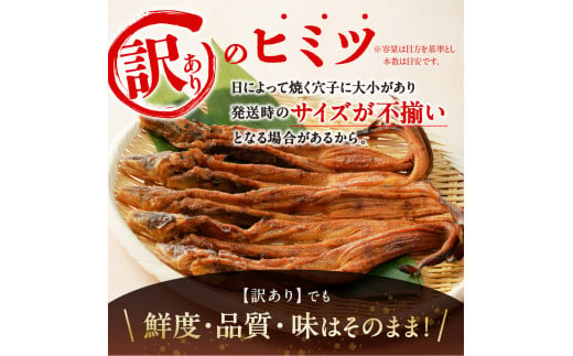 【訳あり】穴子 国産 焼穴子 炭火焼 5～11本入（320g前後） タレ付き