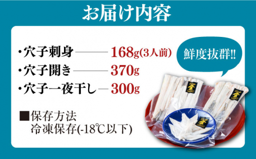 対馬産 活〆 穴子 ３点 セット C【THE・対馬株式会社】《対馬市》新鮮 あなご 刺身 天ぷら 海鮮 肉厚 簡単調理 3人前 [WAS003]