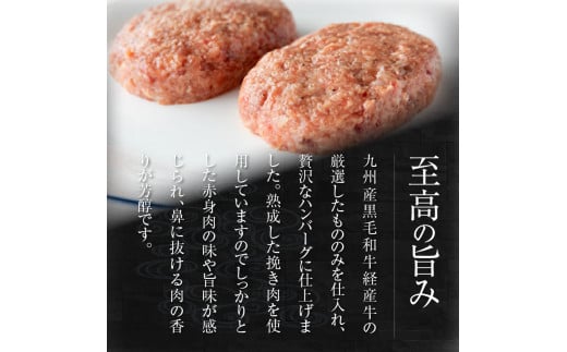 九州クラフト黒毛和牛のハンバーグ(100g×2個入り)×2パック N0105-YA0302