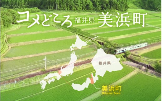 令和6年産 美浜町太田産「コシヒカリ」 白米 10kg [m70-b001]