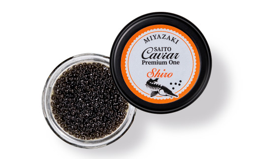  【12ヶ月定期便】SAITO CAVIAR PREMIUM ONE SHIRO 20g×12ヶ月＜44-1＞キャビア 西都市オリジナル