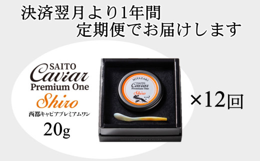  【12ヶ月定期便】SAITO CAVIAR PREMIUM ONE SHIRO 20g×12ヶ月＜44-1＞キャビア 西都市オリジナル