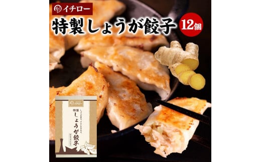 餃子専門店イチロー　味噌だれ餃子２種＆中華点心２種（計４１個）