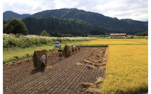 金山町では一部地域で稲を天日干ししていますが、配送される商品は機械で乾燥させているものとなりますので、あらかじめご了承ください。