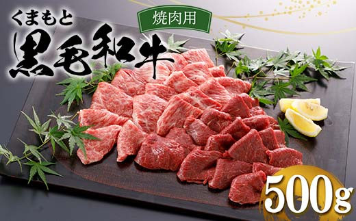 FKP9-552 くまもと黒毛和牛 焼肉用 500g